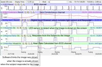 Stimulus Response in LabScribe